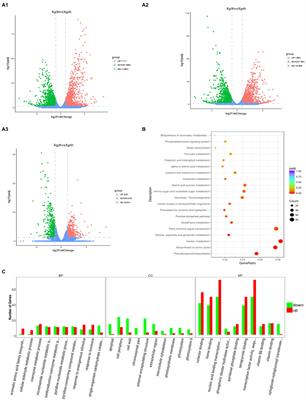 Integrated Transcriptome Analysis and Single-Base Resolution Methylomes of Watermelon (Citrullus lanatus) Reveal Epigenome Modifications in Response to Osmotic Stress